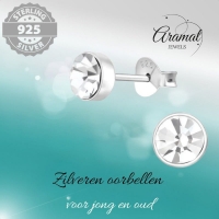 Zilveren kristal oorstekers &acirc;&euro;&ldquo; 5 mm - Transparante steen -