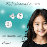 Zilveren kristal oorstekers &acirc;&euro;&ldquo; 5 mm - Transparante steen -
