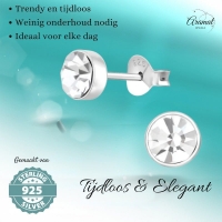 Zilveren kristal oorstekers &acirc;&euro;&ldquo; 5 mm - Transparante steen -