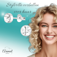 Zilveren kristal oorstekers &acirc;&euro;&ldquo; 5 mm - Transparante steen -