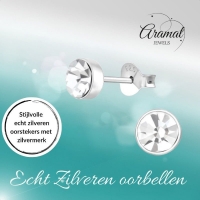 Zilveren kristal oorstekers &acirc;&euro;&ldquo; 5 mm - Transparante steen -