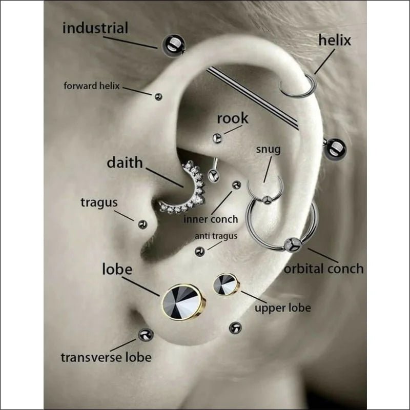 Zwarte Helixpiercing met 2.5mm Rondje - Unisex