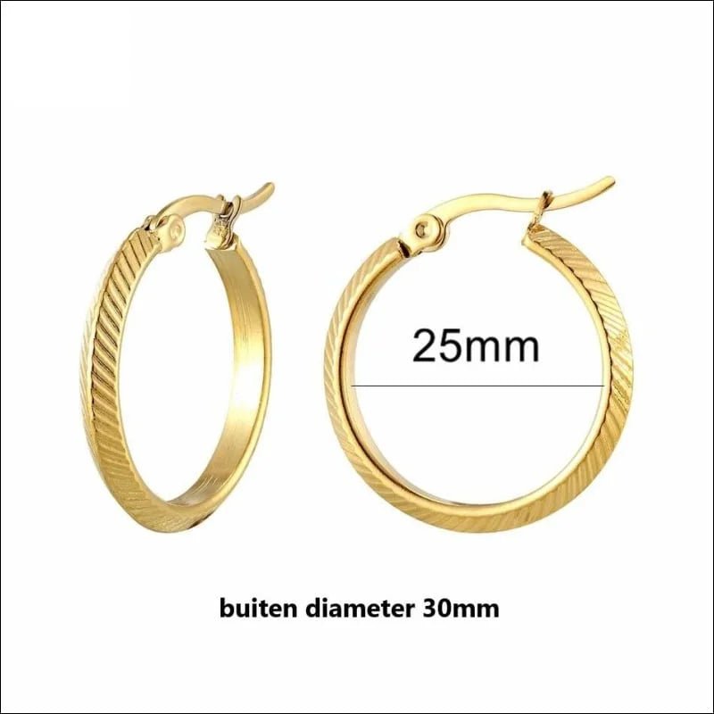 Ronde Stalen Oorringen Stainless steel goldplated -