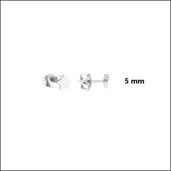 RVS Ster Oorbellen Diverse Kleuren - Verjaardag Cadeau Oorstekers - 3mm / Zwart -