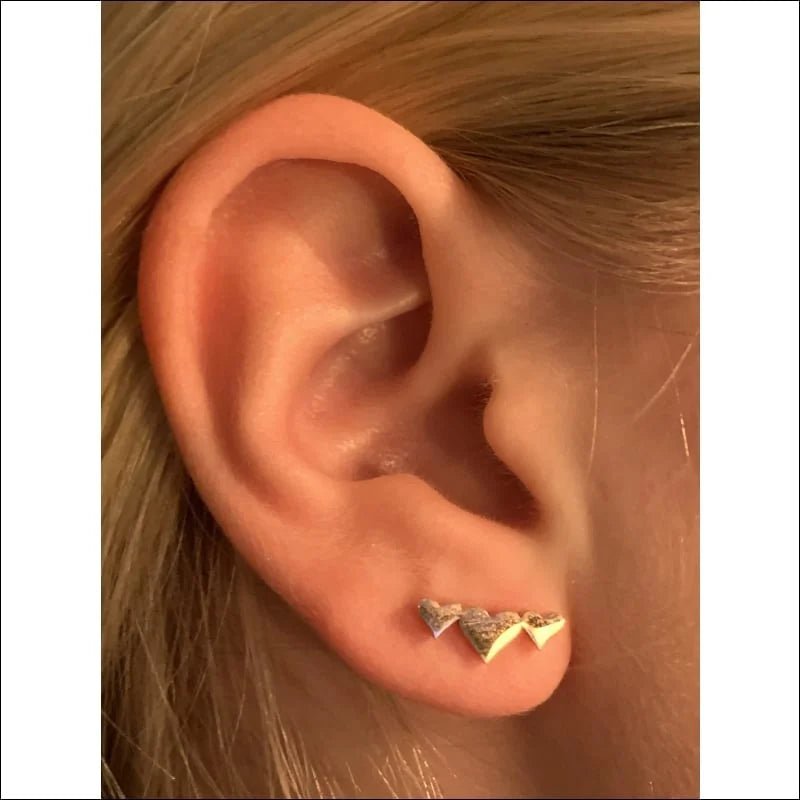 RVS Oorstekers met 3 Hartjes Zilverkleur - Romantische Studs - Zwart -