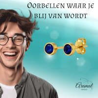 RVS Oorbellen met Donkerblauwe Zirkonia-5mm -