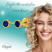 RVS Oorbellen met Donkerblauwe Zirkonia-5mm -