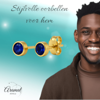 RVS Oorbellen met Donkerblauwe Zirkonia-5mm -