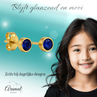 RVS Oorbellen met Donkerblauwe Zirkonia-5mm -