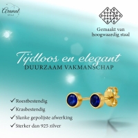 RVS Oorbellen met Donkerblauwe Zirkonia-5mm -