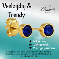 RVS Oorbellen met Donkerblauwe Zirkonia-5mm -