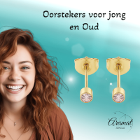 Mini zweerknopjes roze zirkonia - goudkleur -