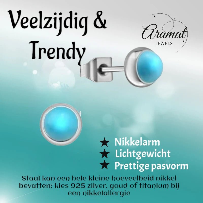 Turquoise Stalen Oorbellen &acirc;&euro;&ldquo; 5mm Zilverkleurig -