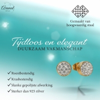 Goudkleurige Shamballa Kristallen Oorbellen -