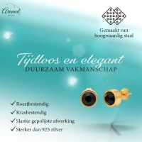 Prachtige Goudkleurige Zwarte Zirkonia Oorbellen -