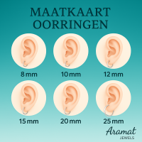 Zilveren oorbellen brons kristal -