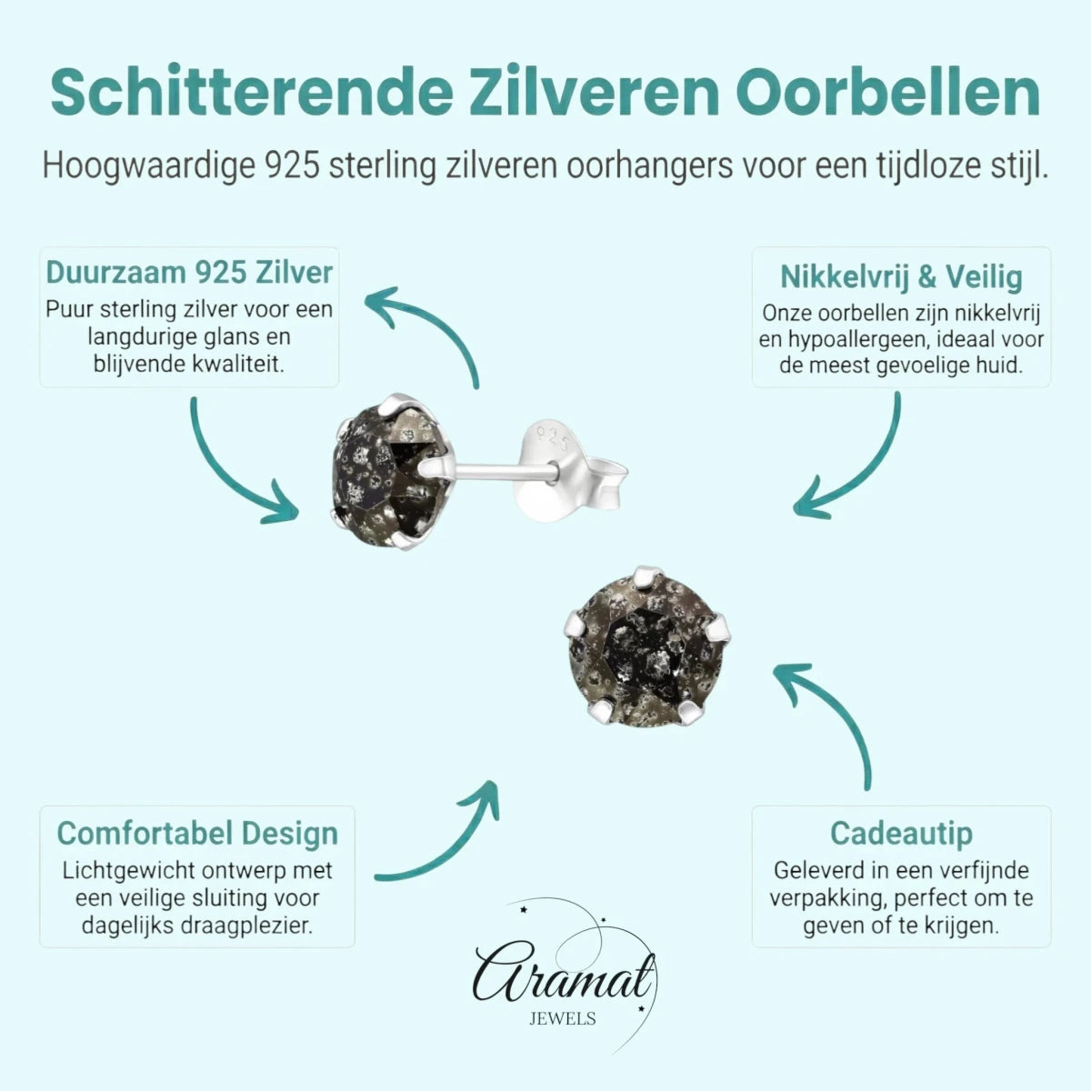 Zwarte Kristal Oorbellen 925 Zilver &acirc;&euro;&ldquo; 6mm Black Diamond - Heren
