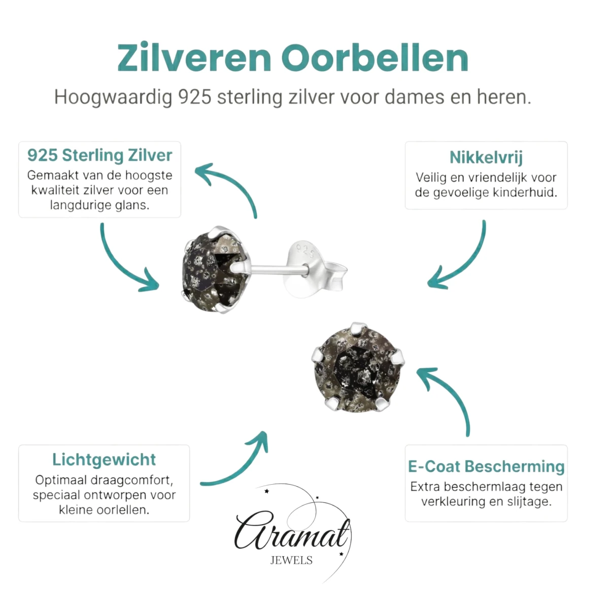 Zwarte Kristal Oorbellen 925 Zilver &acirc;&euro;&ldquo; 6mm Black Diamond - Heren
