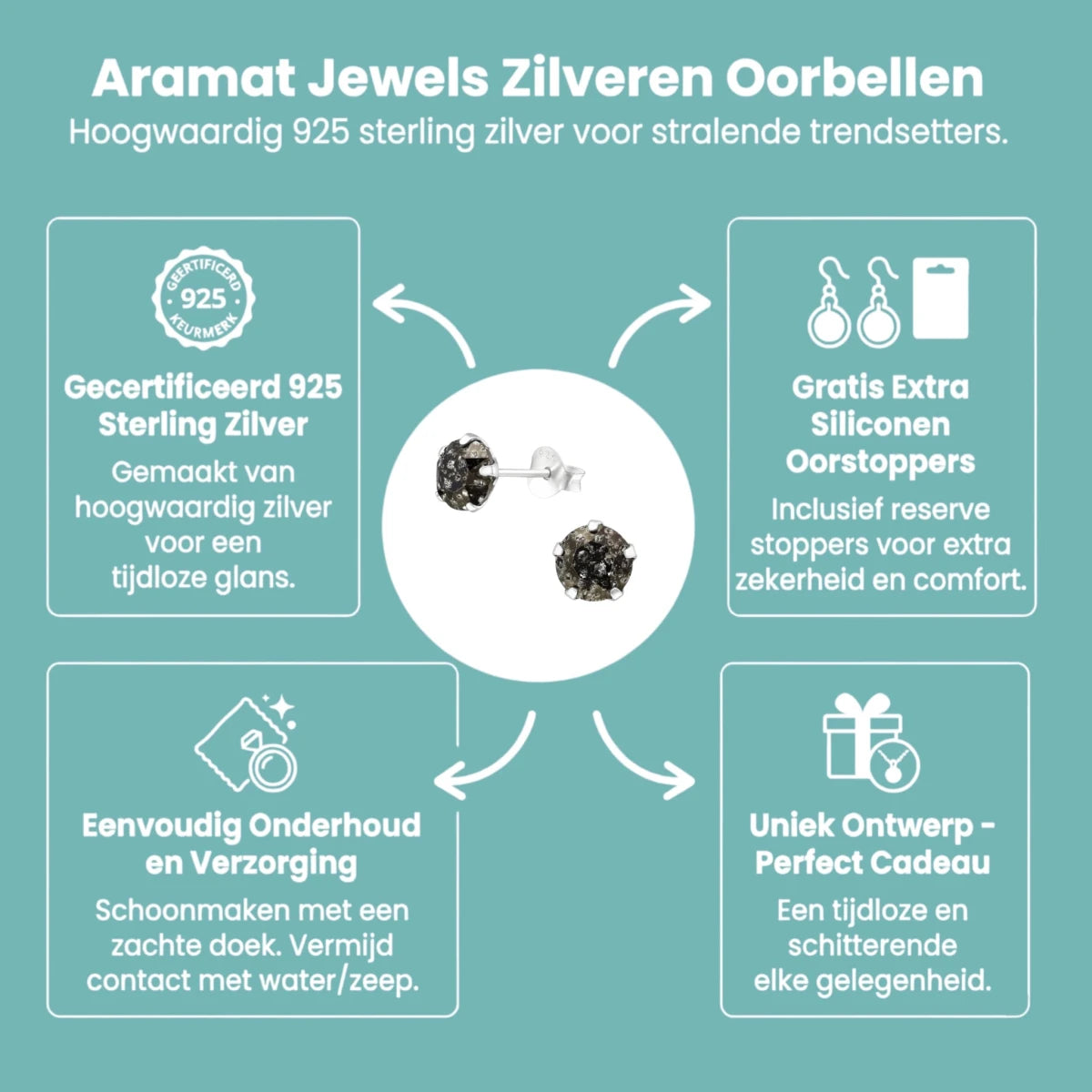 Zwarte Kristal Oorbellen 925 Zilver &acirc;&euro;&ldquo; 6mm Black Diamond - Heren