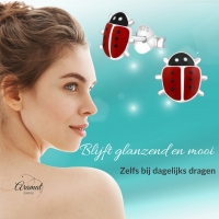 Schattige Zilveren Lieveheersbeestje Oorbellen -