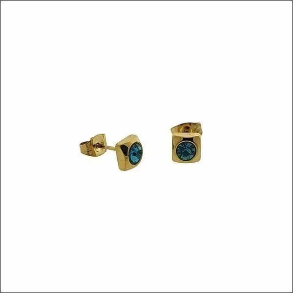 Blauwe Zirkonia Goudkleurige RVS Oorbellen -