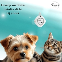 Vierkante ashanger staal met hartzirkonia 30x23mm - Heren