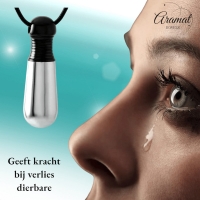 Bicolor Stalen Ashanger Buis Zilver & Zwart &acirc;&euro;&ldquo; 38mm Gedenksieraad - Unisex