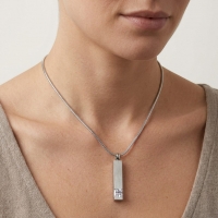 Stalen Ashanger Staaf met Zirkonia &acirc;&euro;&ldquo; Sierlijk Gedenksieraad Zilver & Goud - T