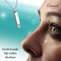Stalen Ashanger Staaf met Zirkonia &acirc;&euro;&ldquo; Sierlijk Gedenksieraad Zilver & Goud - M