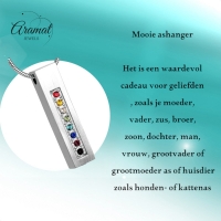 Stalen Buis Crematiehanger Multi-Zirkonia &acirc;&euro;&ldquo; 34mm Zilverkleurig Gedenksieraad - Un