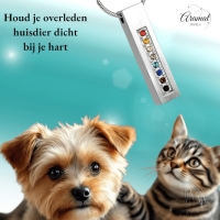 Stalen Buis Crematiehanger Multi-Zirkonia &acirc;&euro;&ldquo; 34mm Zilverkleurig Gedenksieraad - Un