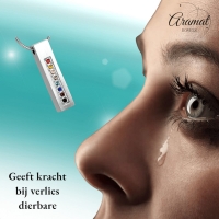Stalen Buis Crematiehanger Multi-Zirkonia &acirc;&euro;&ldquo; 34mm Zilverkleurig Gedenksieraad - Un