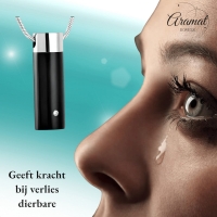 Ashanger Buis Zilver & Zwart met Zirkonia &acirc;&euro;&ldquo; RVS Gedenksieraad - Unisex