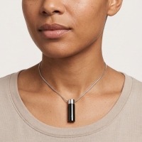 Ashanger Buis Zilver & Zwart met Zirkonia &acirc;&euro;&ldquo; RVS Gedenksieraad - Unisex