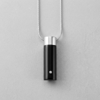Ashanger Buis Zilver & Zwart met Zirkonia &acirc;&euro;&ldquo; RVS Gedenksieraad - Unisex