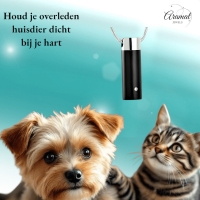 Ashanger Buis Zilver & Zwart met Zirkonia &acirc;&euro;&ldquo; RVS Gedenksieraad - Unisex