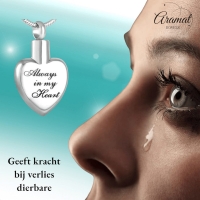 Stalen Ashanger Always in My Heart &acirc;&euro;&ldquo; Zilverkleurig Gedenksieraad Hart - Unisex