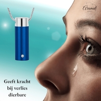 Stalen Blauwe Ashanger &acirc;&euro;&ldquo; Gedenksieraad met Betekenis Zonder Ketting - Unisex