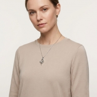 Elegante Stalen Ashanger met Zirkonia &acirc;&euro;&ldquo; 316L Zilverkleurig Gedenksieraad - Unisex