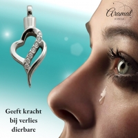 Elegante Stalen Ashanger met Zirkonia &acirc;&euro;&ldquo; 316L Zilverkleurig Gedenksieraad - Unisex