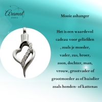 Elegante Stalen Ashanger met Zirkonia &acirc;&euro;&ldquo; 316L Zilverkleurig Gedenksieraad - Unisex