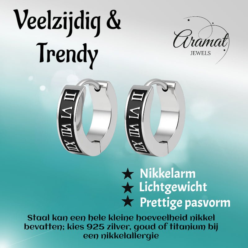 Stalen Oorringen Romeinse Cijfers 14x4mm -