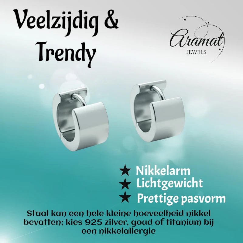 Oorringen &acirc;&euro;&ldquo; Staal Huggies Zilverkleurig (16x7mm) -
