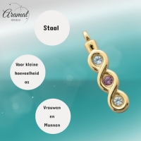 Stalen Goudkleurige Ashanger met Zirkonia &acirc;&euro;&ldquo; Gedenksieraad Zonder Ketting - Unisex