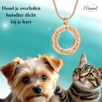 Goudkleurige Ashanger Cirkel &acirc;&euro;&ldquo; Staal Gedenksieraad Zonder Ketting - Unisex