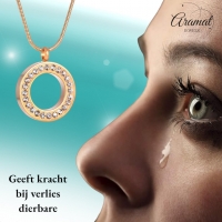 Goudkleurige Ashanger Cirkel &acirc;&euro;&ldquo; Staal Gedenksieraad Zonder Ketting - Unisex