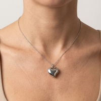 Zilverkleurig Hartje Crematiehanger &acirc;&euro;&ldquo; Staal Gedenksieraad Zonder Ketting - Unisex
