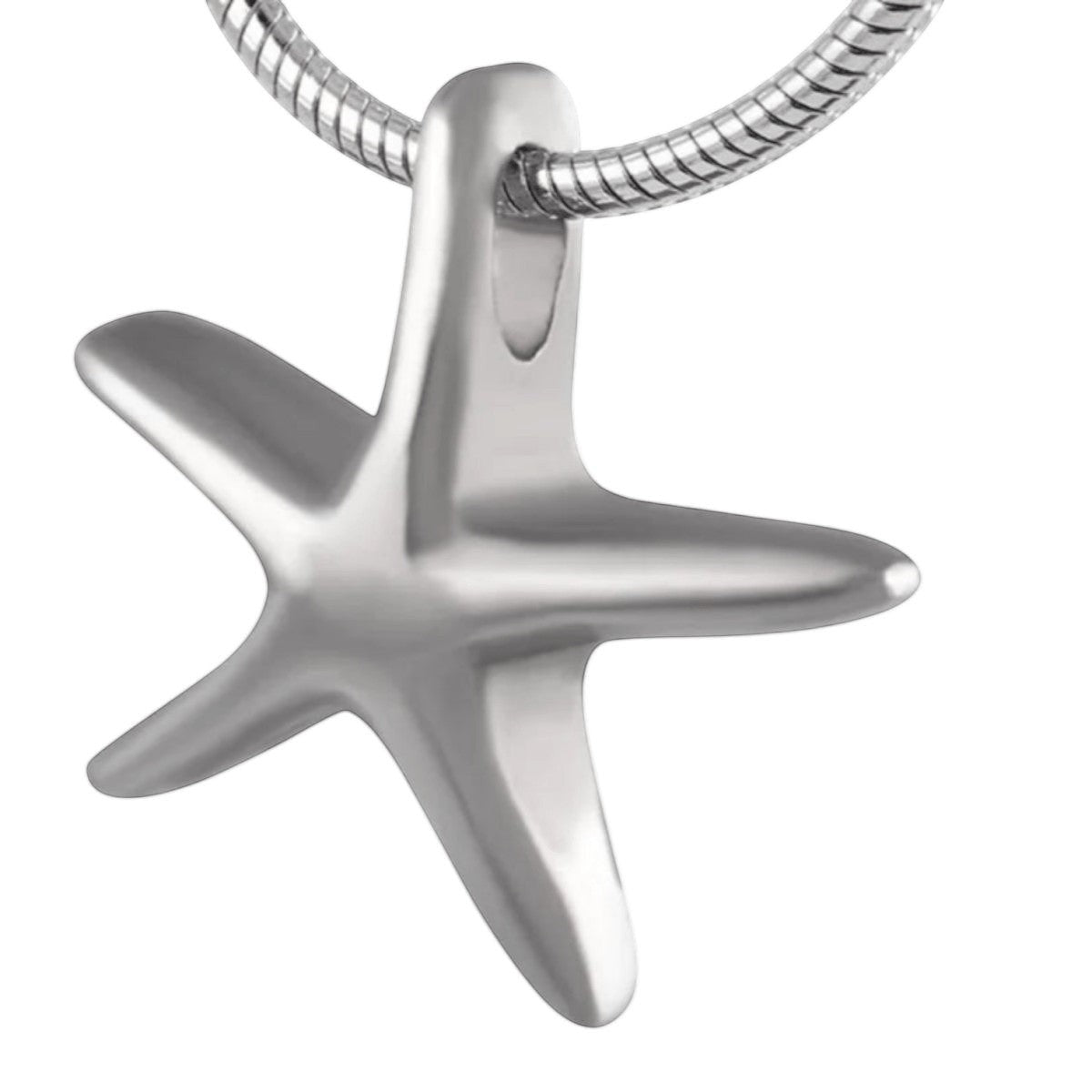 Zilverkleurige Ashanger Zeester &acirc;&euro;&ldquo; Staal Gedenksieraad Zonder Ketting - Unisex