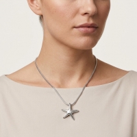 Zilverkleurige Ashanger Zeester &acirc;&euro;&ldquo; Staal Gedenksieraad Zonder Ketting - Unisex