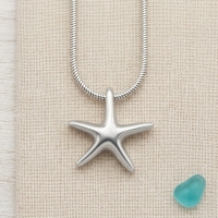 Zilverkleurige Ashanger Zeester &acirc;&euro;&ldquo; Staal Gedenksieraad Zonder Ketting - Unisex